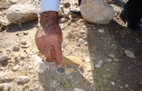 کشف سکه تاریخی مربوط به دوره اسلامی در شهرستان باغملک