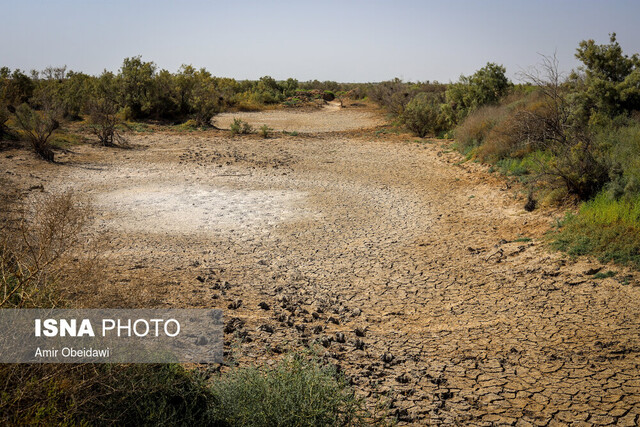 هشدار خشکی کامل تالاب “میانگران” در تابستان امسال