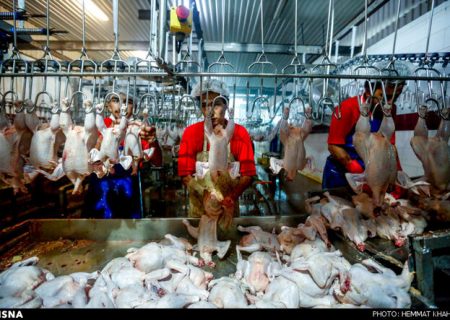 کشتارگاه‌های خوزستان در کشتار و عرضه مرغ ضعیف عمل می‌کنند