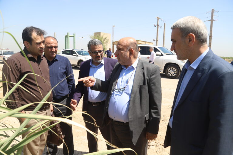 گزارش تصویری بازدید اعضای هیئت امنای موسسه تحقیقات و آموزش نیشکر و صنایع جانبی خوزستان از روند رشد واریته‌های جدید