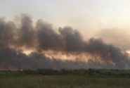 علت ۹۰ درصد آتش سوزی‌ها در هورالعظیم عراق عمدی است