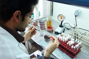 استقبال پایین پزشکان در تاسیس آزمایشگاه‌های ژنتیک/دیابت شایع ترین بیماری ژنتیکی در خوزستان