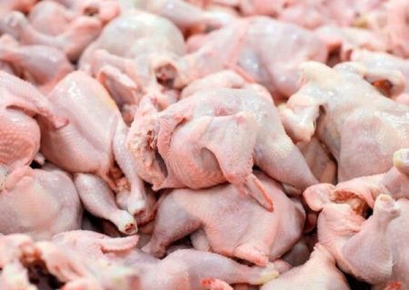 معدوم‌سازی بیش از ۹۰۰ کیلوگرم مرغ کشتار روز تاریخ گذشته در اهواز