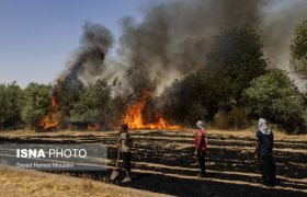 آتش زدن بقایای گیاهان، تهدید علیه بهداشت عمومی و جرم است