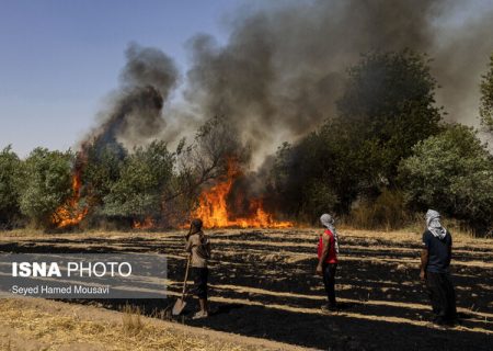 آتش زدن بقایای گیاهان، تهدید علیه بهداشت عمومی و جرم است