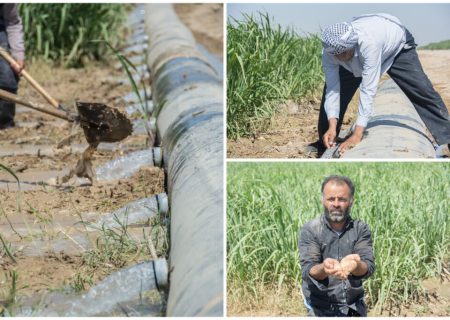 رگ حیات نیشکر در دست «آبیارها»