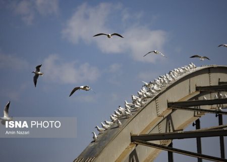 پیش‌بینی افزایش ۵ درجه‌ای دما در خوزستان