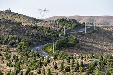 دستگاه‌ها وظایف خود در خصوص تکمیل کمربند سبز را انجام دهند