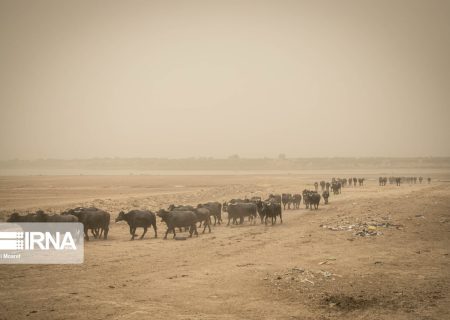 اعتبارات مقابله‌ای با پدیده گرد و غبار در کشور کافی نیست