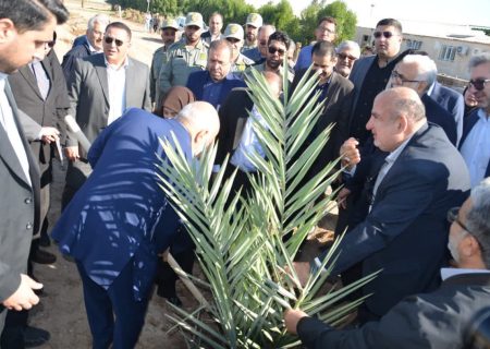 عملیات احداث نخلستان در کشت و صنعت نیشکر دعبل خزاعی آغاز شد/گام بلند نیشکر در توسعه پایدار با احداث نخلستان و افتتاح انسکتاریوم