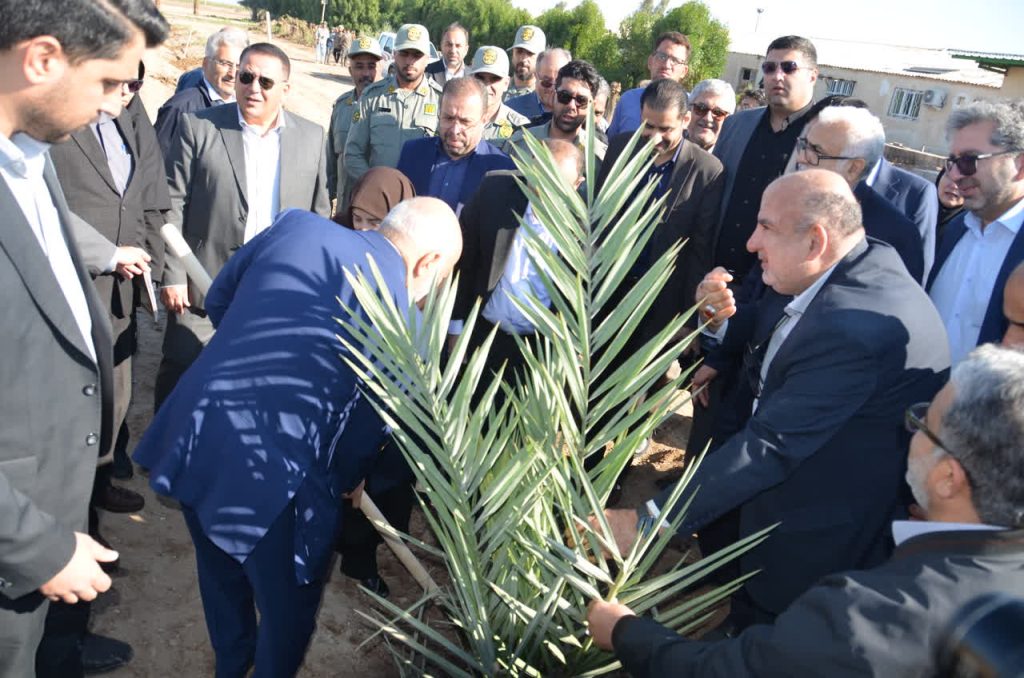 عملیات احداث نخلستان در کشت و صنعت نیشکر دعبل خزاعی آغاز شد/گام بلند نیشکر در توسعه پایدار با احداث نخلستان و افتتاح انسکتاریوم