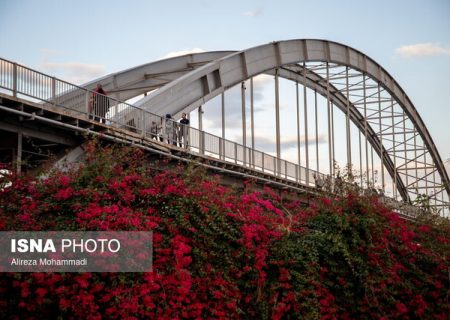 از ساخت شهربازی تا باغ‌های گل و پرندگان، تلاش اهواز برای جذب گردشگر