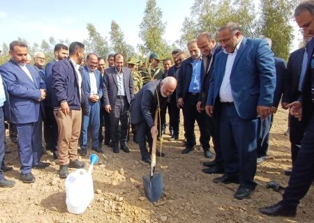 آیین نهالکاری با شعار وفاق و همدلی در نهالستان اهواز برگزار شد