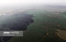 برآورد حریق در ۳۰۰ هکتار از بخش عراقی هورالعظیم/ هشدار وقوع آتش‌سوزی در بخش ایرانی در فصل گرما