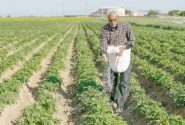 مدیر بحران خوزستان: کشاورزان برای مدیریت آب در تابستان همکاری کنند