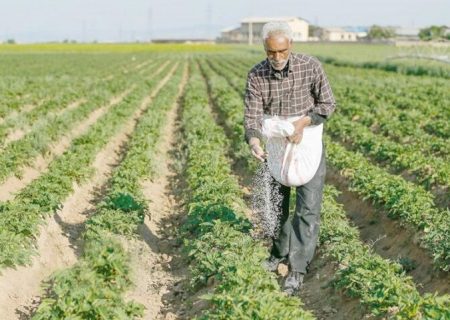 مدیر بحران خوزستان: کشاورزان برای مدیریت آب در تابستان همکاری کنند